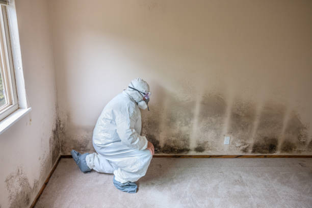 Best Biohazard Mold Removal  in Geneva, AL